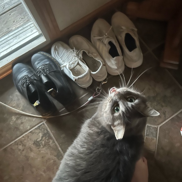 Meet your Posher, Connie - Picture 15 of 16